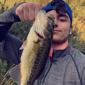 Meet your Posher, Jake